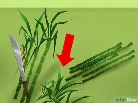 Image titled Harvest Sugar Cane Step 4