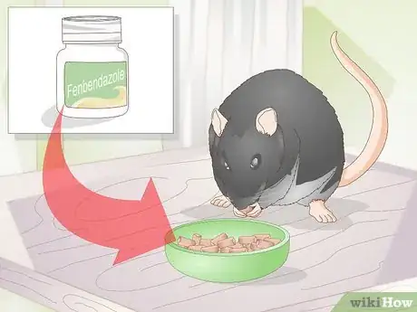 Image titled Treat Pinworms in Mice Step 3