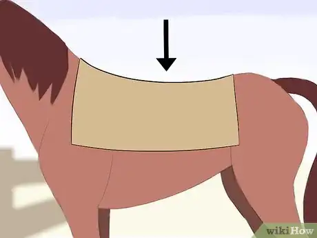 Image titled Saddle a Horse Western Step 3