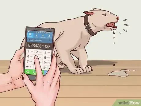 Image titled Keep Your Dog Safe on Halloween Step 5