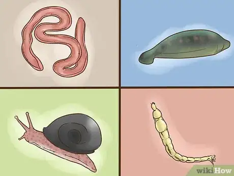 Image titled Identify a Healthy Stream Step 10