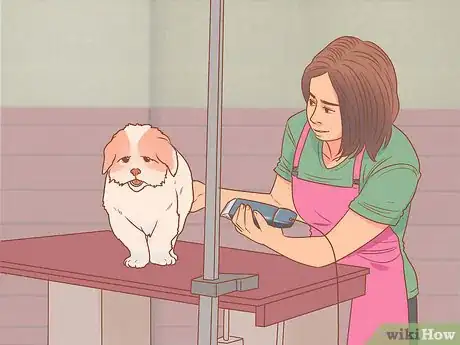 Image titled Save Dogs Step 6