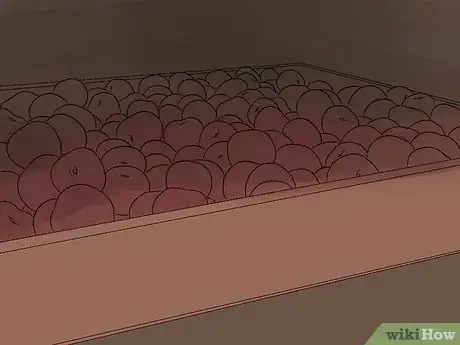 Image titled Grow an Apple Tree Step 18