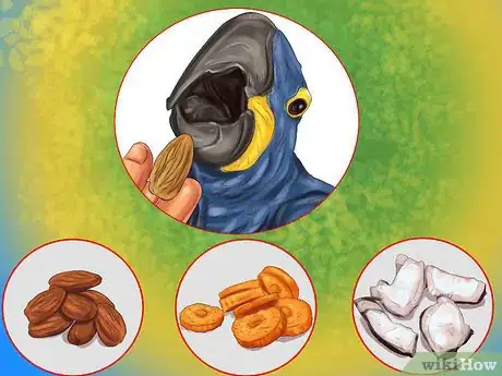 Image titled Care for a Hyacinth Macaw Step 9