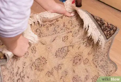 Image titled Hand Wash an Oriental Rug Step 1