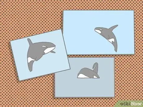 Image titled Identify an Orca Whale Step 5