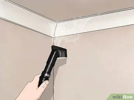 Image titled Keep False Widow Spiders Out of Your House Step 11