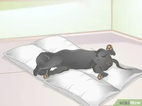 Image titled Select a Dog Bed Step 6