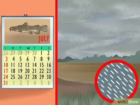 Image titled Catch Flathead Catfish Step 3