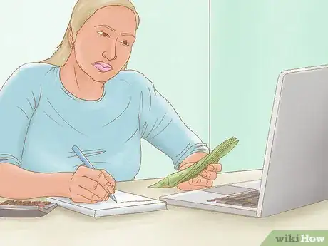 Image titled Get Married in Hawaii for Cheap Step 1