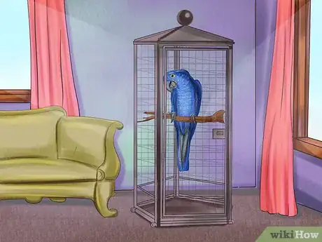 Image titled Care for a Hyacinth Macaw Step 3
