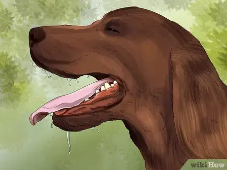 Image titled Tell if Your Dog Is Having a Medical Emergency Step 7