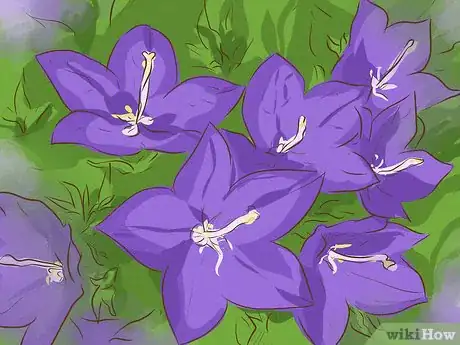 Image titled Choose Houseplants for the Bathroom Step 8