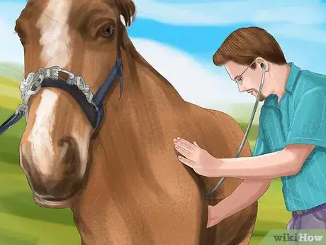 Image titled Treat External Horse Parasites Step 8