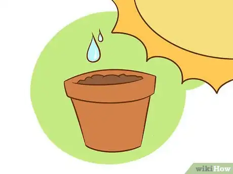 Image titled Plant Asparagus Step 6