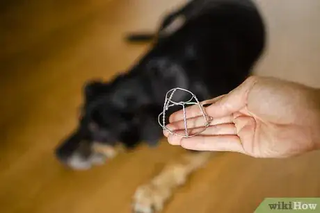 Image titled Help Teething Pups Step 9