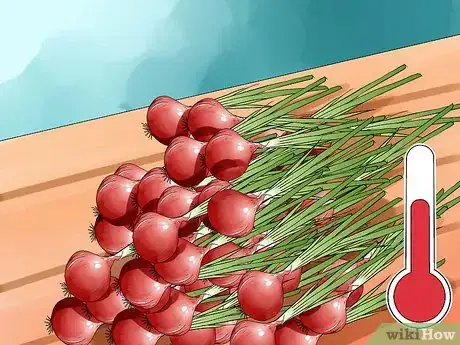 Image titled Grow Onions from Seed Step 17