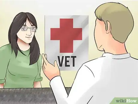 Image titled Choose Exercise That Strengthens Senior Dogs Step 1