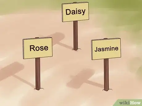 Image titled Grow Flowers from Seed Step 11