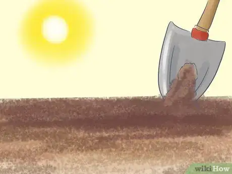 Image titled Grow a Queen Palm Step 7