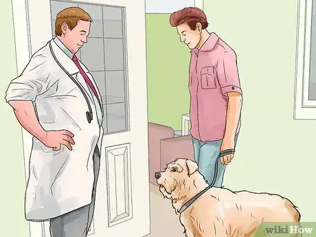 Image titled Care for Labradoodles Step 13