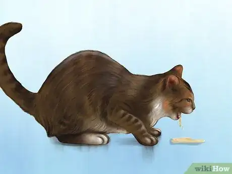 Image titled Act When Meeting a Strange Cat Step 12