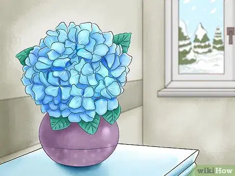 Image titled Select Blooming Houseplants Step 2