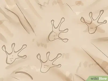 Image titled Identify Animal Tracks Step 21