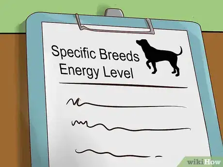 Image titled Choose Exercise That Strengthens Senior Dogs Step 8