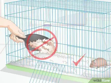 Image titled Stop Your Pet Mouse from Sneezing Step 3