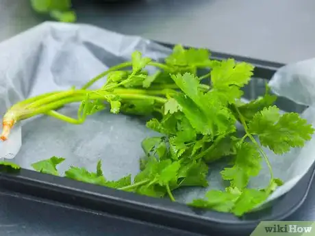 Image titled Freeze Herbs Step 7