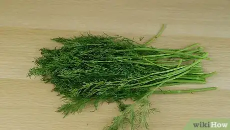 Image titled Preserve Dill Step 1