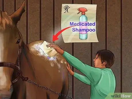Image titled Treat Skin Disorders in Horses Step 5