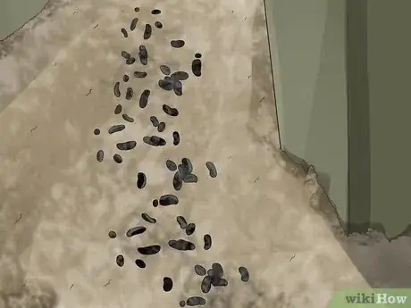Image titled Catch Roof Rats Step 11