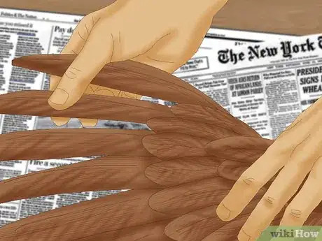 Image titled Pluck a Pheasant Step 5