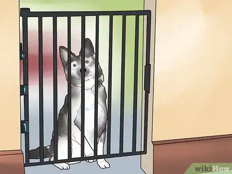 Image titled Supervise a New Dog Step 2