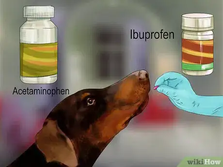 Image titled Treat Fever in Dogs Step 7