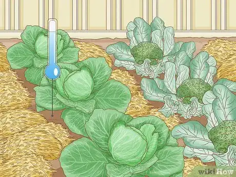 Image titled What Mulch Is Good for a Vegetable Garden Step 2