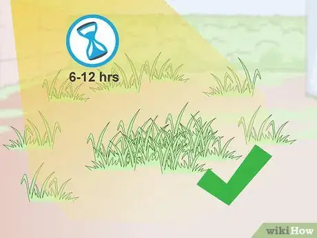 Image titled Grow Pansies Step 2