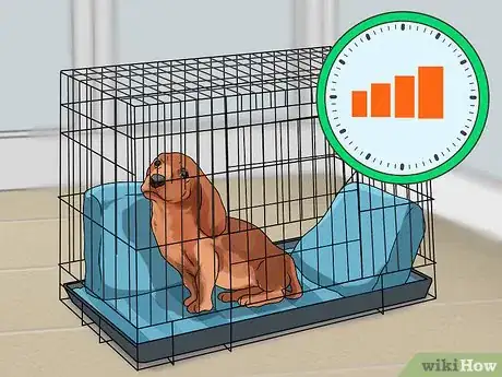 Image titled Crate Train Dachshunds Step 6