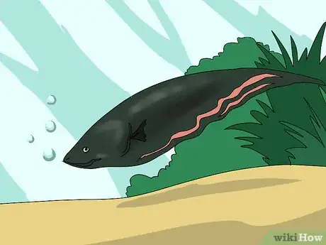 Image titled Set Up a Simple In Tank Refugium Step 8