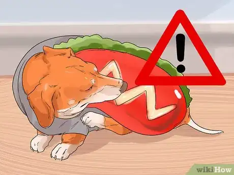 Image titled Get a Dog Ready for a Special Occasion Step 10