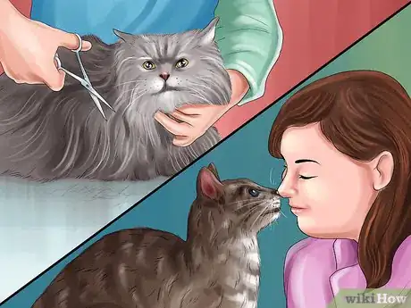 Image titled Become a Cat Person Step 2