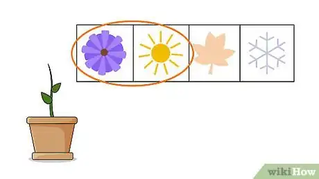 Image titled Plant Columbine Step 1