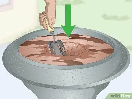 Image titled Plant in Urns Step 6