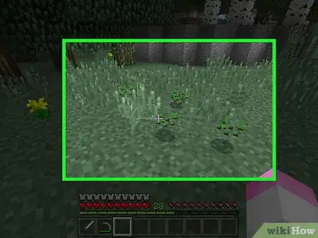 Image titled Farm Crops in Minecraft Step 1
