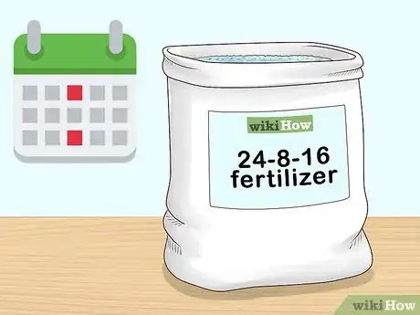 Image titled Grow a Rubber Tree Step 13