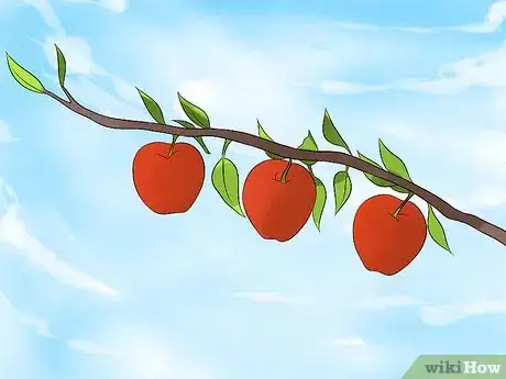 Image titled Grow an Apple Tree Step 16
