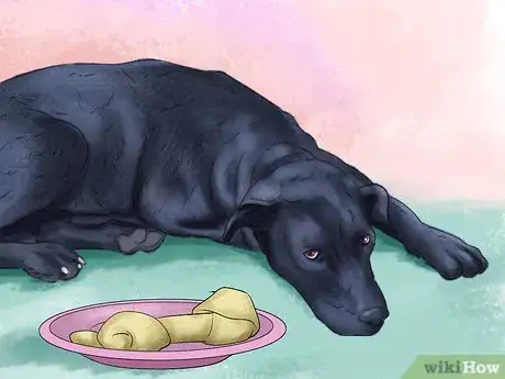 Image titled Know if Your Dog Needs a Diet Change Step 4