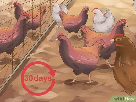 Image titled Prevent Bird Flu (Avian Influenza) Step 12